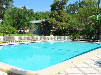 Pool Willowbrook Tampa Florida